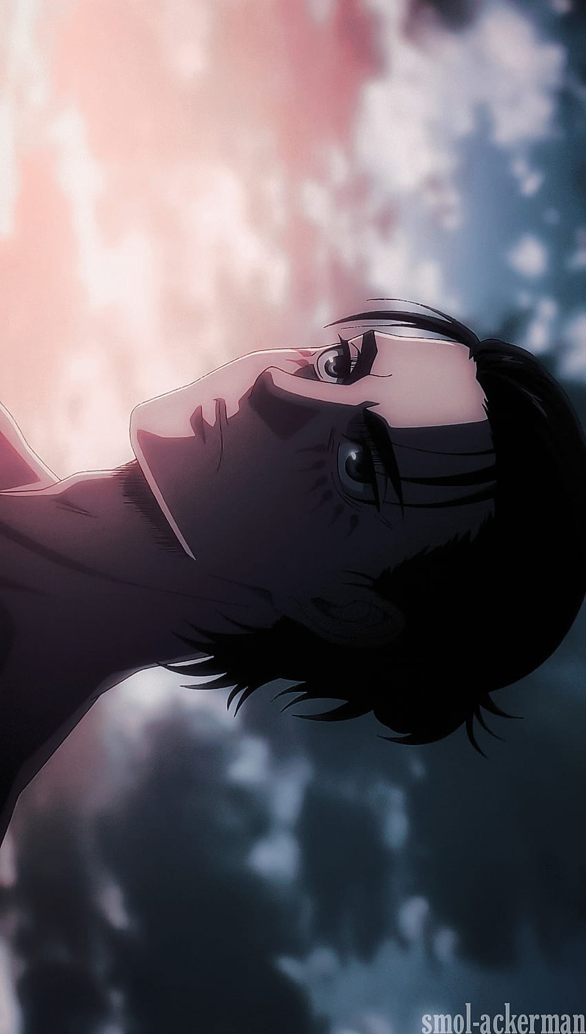 ✨mirror in the sky✨, eren yeager long hair HD phone wallpaper
