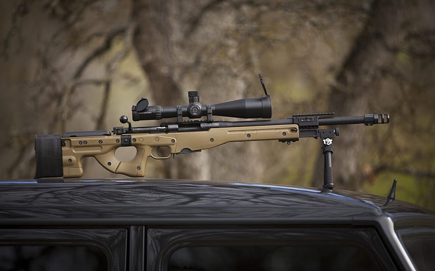 Sniper Rifle, 8x sniping HD wallpaper