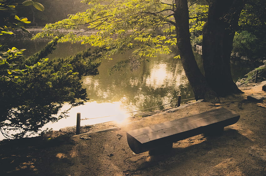 : sunlight, landscape, forest, lake, water, nature, reflection, grass, sky, shadow, branch, evening, morning, bench, texture, summer, Seoul, peaceful, afternoon, Bank, nostalgic, tree, autumn, leaf, korea, bayou, woodland, woody plant, state, autumn nostalgia HD wallpaper