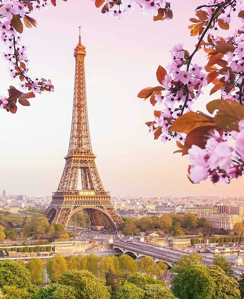 Eiffel Tower Paris, spring in paris HD phone wallpaper