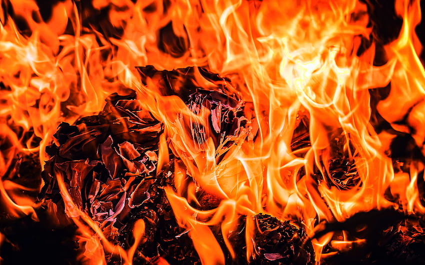 Feuertexturen, brennende Hintergründe, Kamin, Lagerfeuer, Feuerflammen, orangefarbene Feuertextur, Feuerhintergründe mit einer Auflösung von 3840x2400. Hohe Qualität HD-Hintergrundbild
