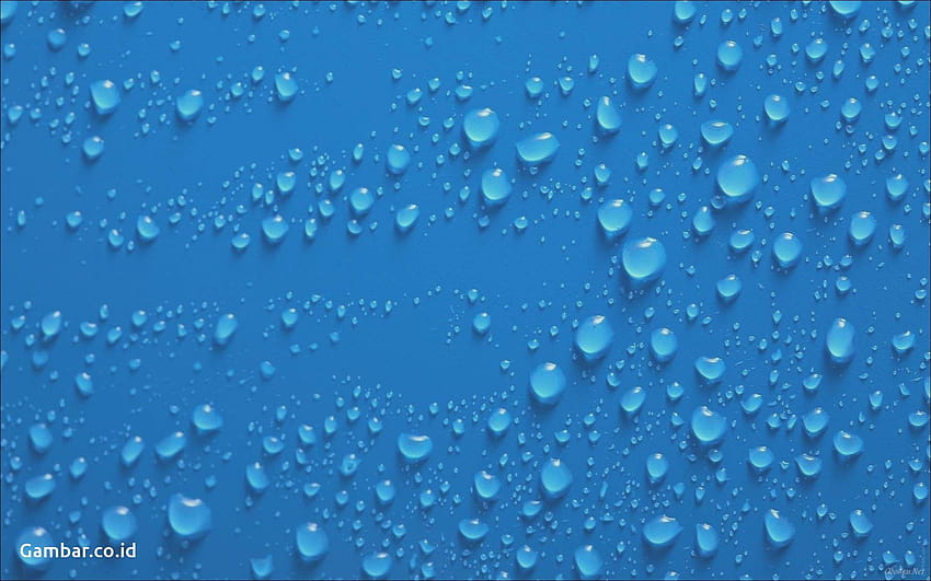 Gambar Biru, elmo biru HD wallpaper