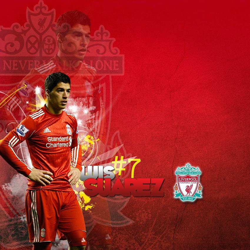 Luis Suarez Liverpool, liverpool players HD phone wallpaper