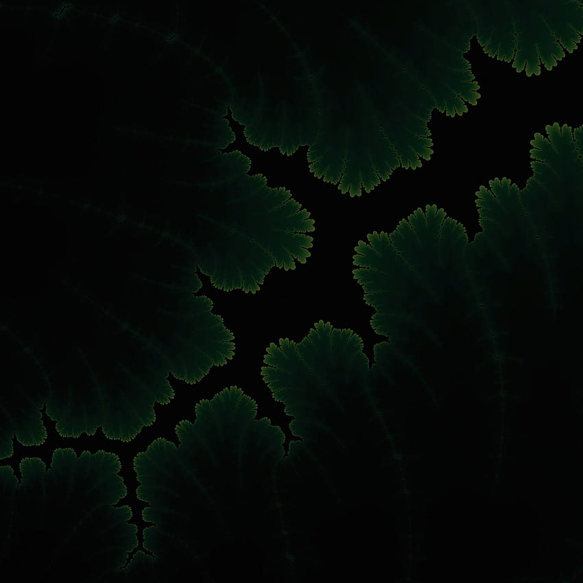 2048x2048 Green Plants Dark Amoled Ipad Air, 3d leaves amoled screen HD phone wallpaper