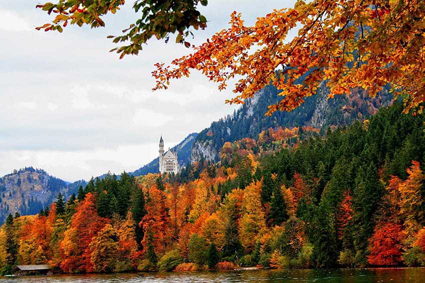 Bavaria Jerman Musim Gugur Alam Schwangau, musim gugur di jerman Wallpaper HD