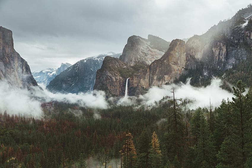 Early morning fog in the valley Yosemite National Park [OC][3120x2080], yosemite valley morning fog HD wallpaper
