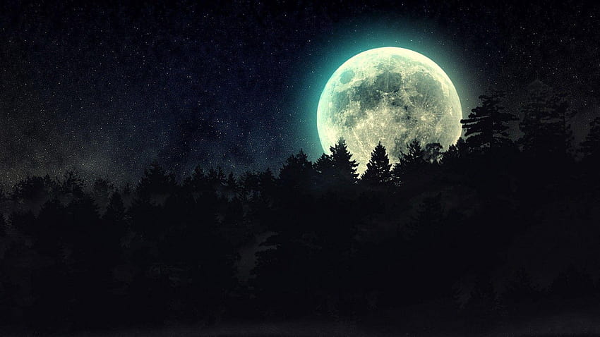 Księżyc w pełni nad lasem sosnowym, ciemny las z księżycem Tapeta HD