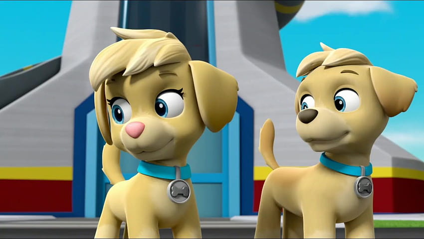 Ella/Gallery/Mighty Pups, Super Paws: Pups Meet the Mighty Twins, ella paw patrol HD wallpaper