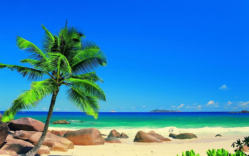 Тапети за телефон с тропически плажен пейзаж HD тапет