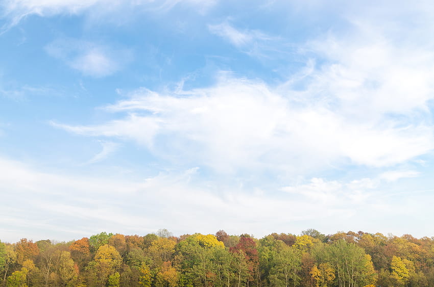 Panoramic graphy of Sky and Forest · Stock, sky background HD wallpaper