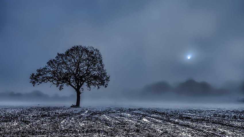 Sad Backgrounds posted by Christopher Anderson, depressing winter HD wallpaper