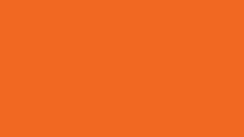 Fundo de cor sólida laranja claro: 100 Vector, PNG, arquivos PSD, cor laranja papel de parede HD