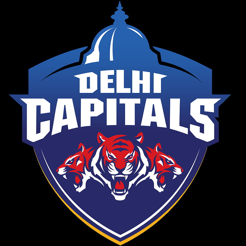 Delhi Capitals, logotipo de los equipos de ipl fondo de pantalla del teléfono