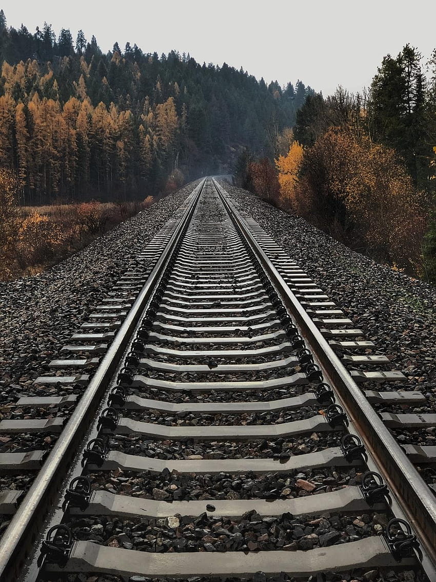 10 Schiene [], Perspektive der Eisenbahnschienen HD-Handy-Hintergrundbild