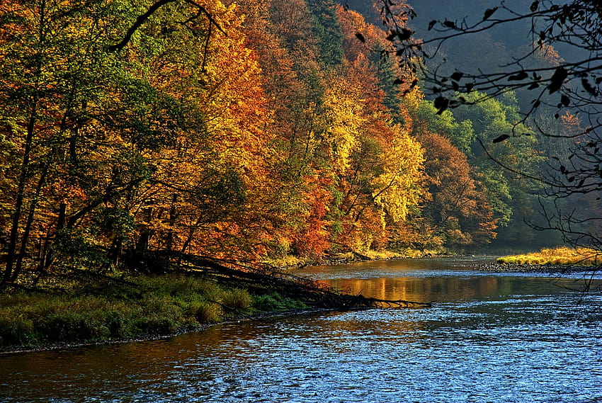 Pieniny Dunajec Autumn Leaves The, landscape view colorful autumn HD wallpaper