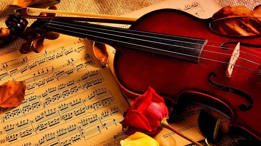 Notas de violín música de belleza rosa, violín hermoso fondo de pantalla