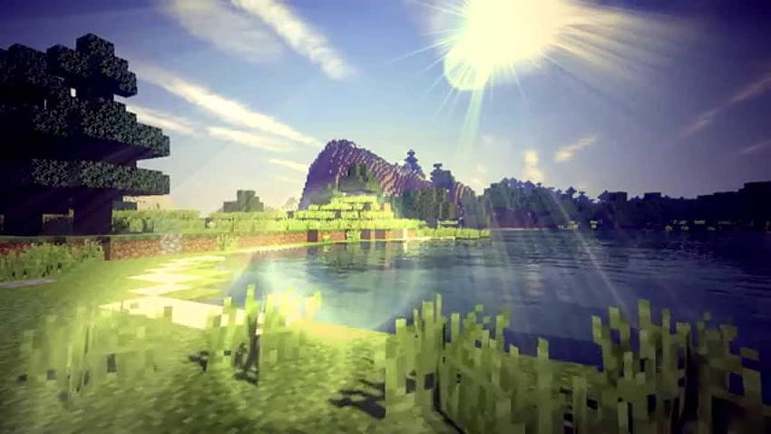 Pętla animacji Minecrafta, minecraft w tle Tapeta HD