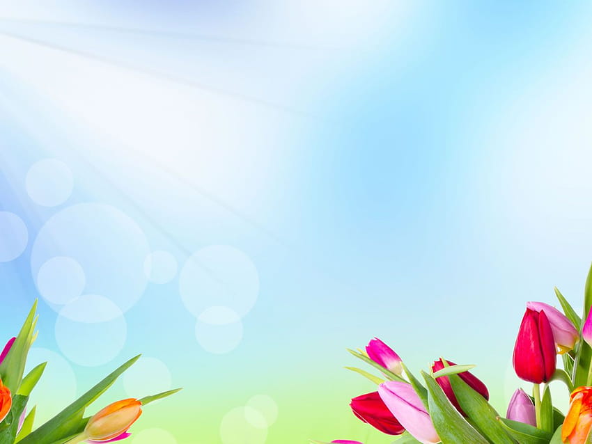 powerpoint backgrounds flowers