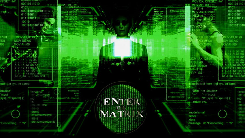 Enter The Matrix, 01010101 HD wallpaper
