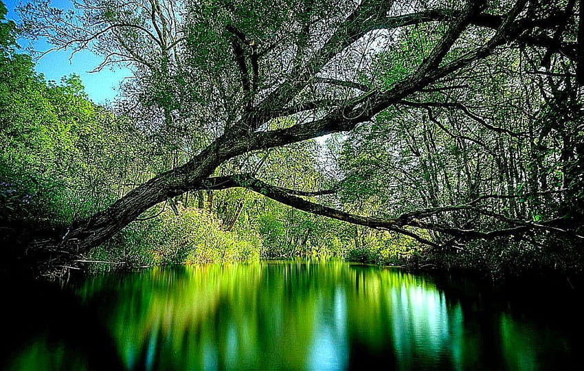 3D Nature For Windows 7, for 3d nature HD wallpaper | Pxfuel