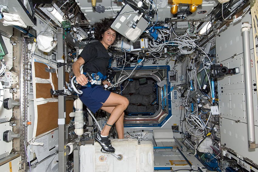 NASA Veteran Sunita Williams Tells Us ...theverge HD Wallpaper | Pxfuel