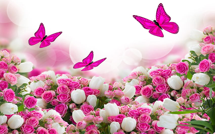 Flower Bouquet White And Pink Roses And Flying Butterflies For Mobile And Tablet 3840х2400 : 13 HD wallpaper