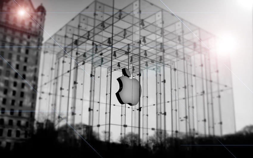 Apple Store HD wallpaper | Pxfuel