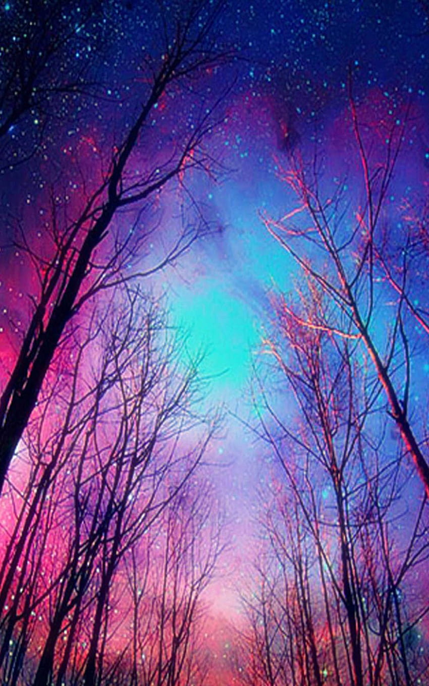 Twilight Night Forest, night forest android HD phone wallpaper