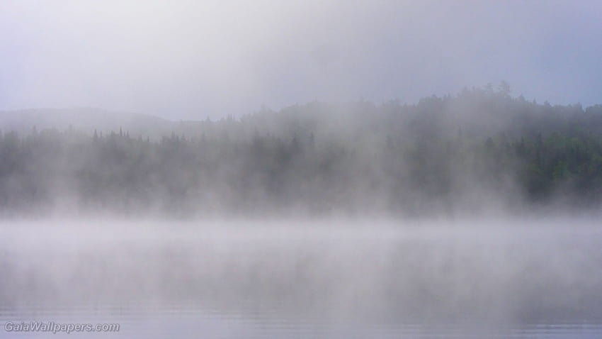 Lac Caisse dans la brume du matin fonds d'écran 1920x1080 HD wallpaper