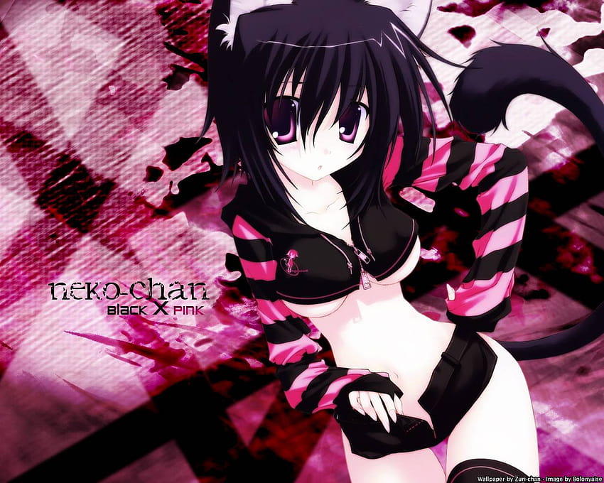 Tierohren schwarz x rosa Catgirl Nanao Naru Schwanz HD-Hintergrundbild