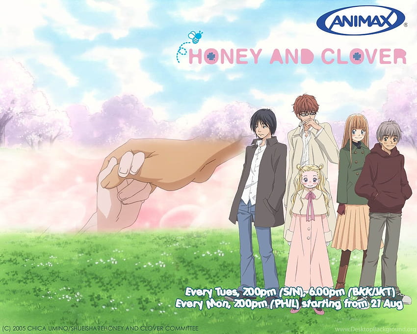 Honey and clover 1080P 2K 4K 5K HD wallpapers free download  Wallpaper  Flare