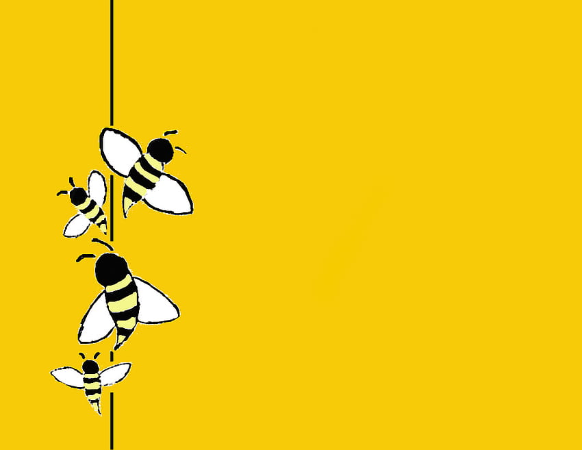 Cartoon In, honey bee HD wallpaper