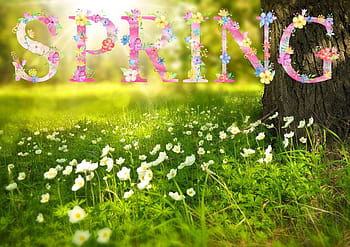 First day of spring 2021: When is the spring equinox? Other facts about the  start of spring. 