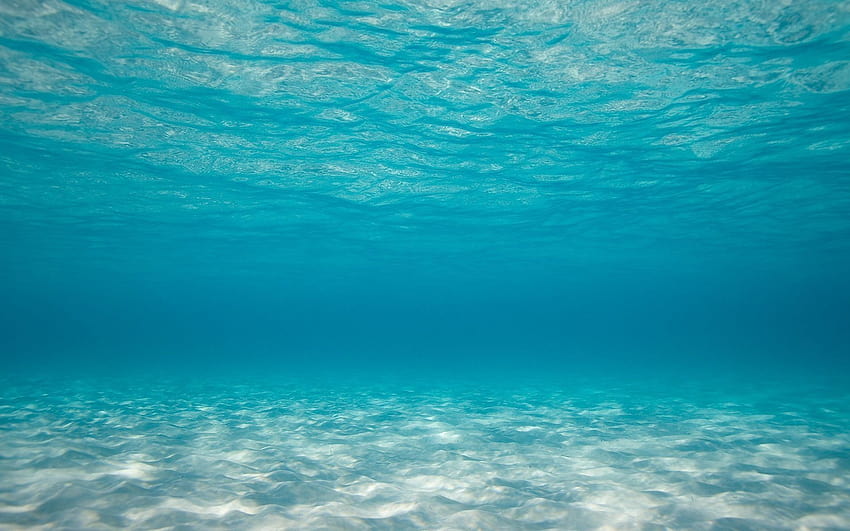 Unterwasserozean, Meeresboden HD-Hintergrundbild