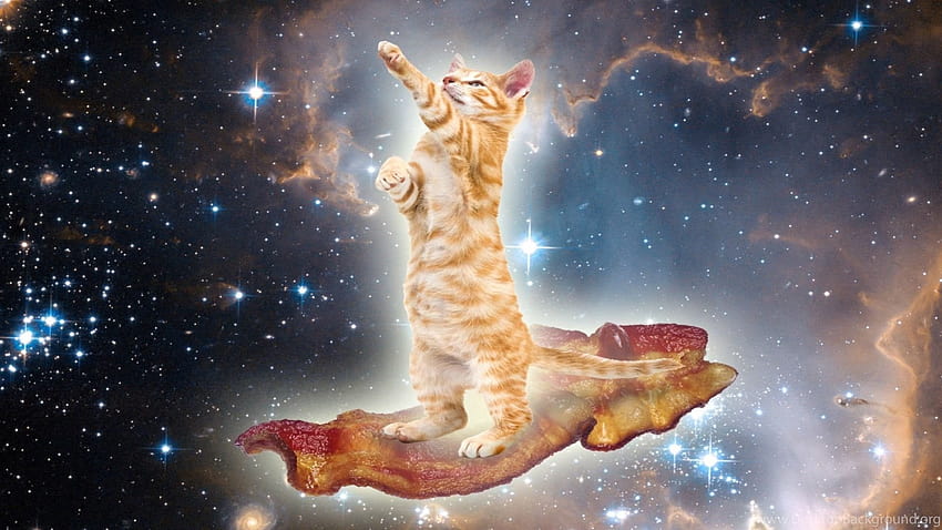 우주 배경에 대한 레이저 을 가진 우주 비행사 고양이 HD 월페이퍼
