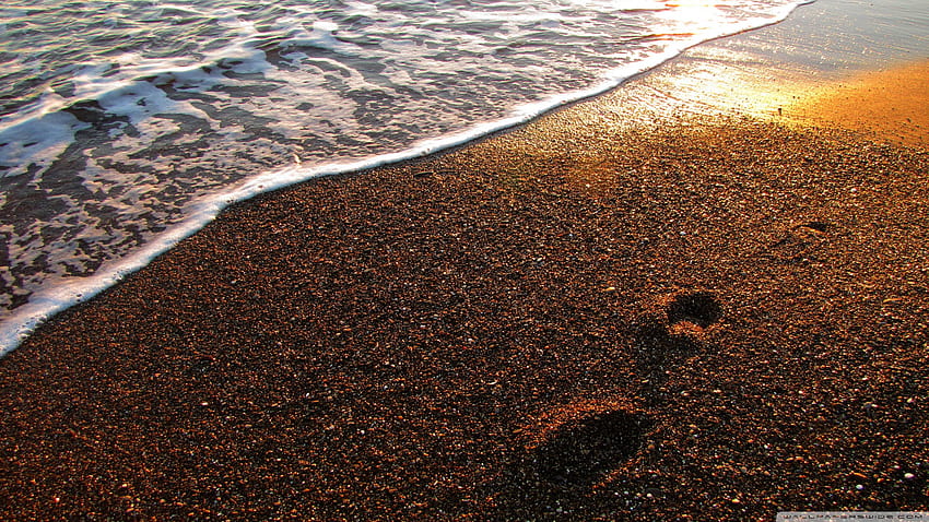 Foot Prints On The Sand Ultra Backgrounds for U TV : Multi Display, Dual Monitor : Tablet : Smartphone HD wallpaper