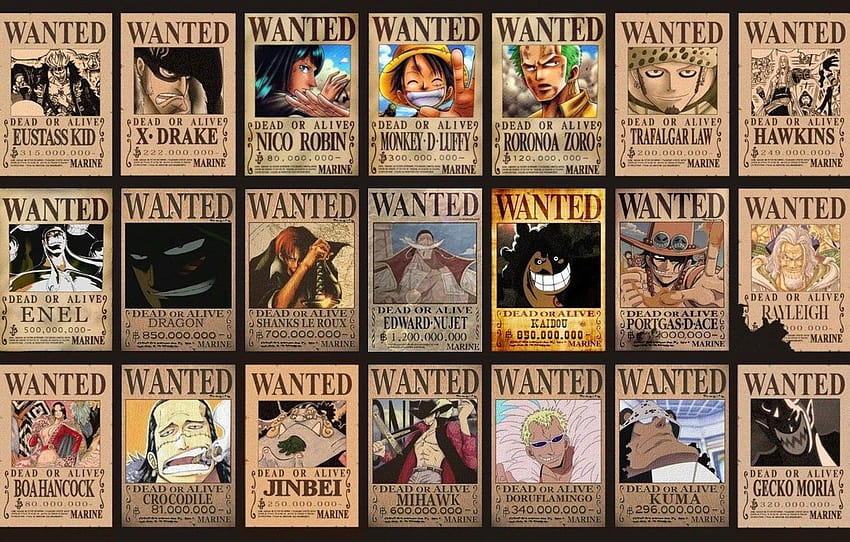 Dragon, recherché, One Piece, Robin, pirates, Monkey D, kuma une pièce Fond d'écran HD