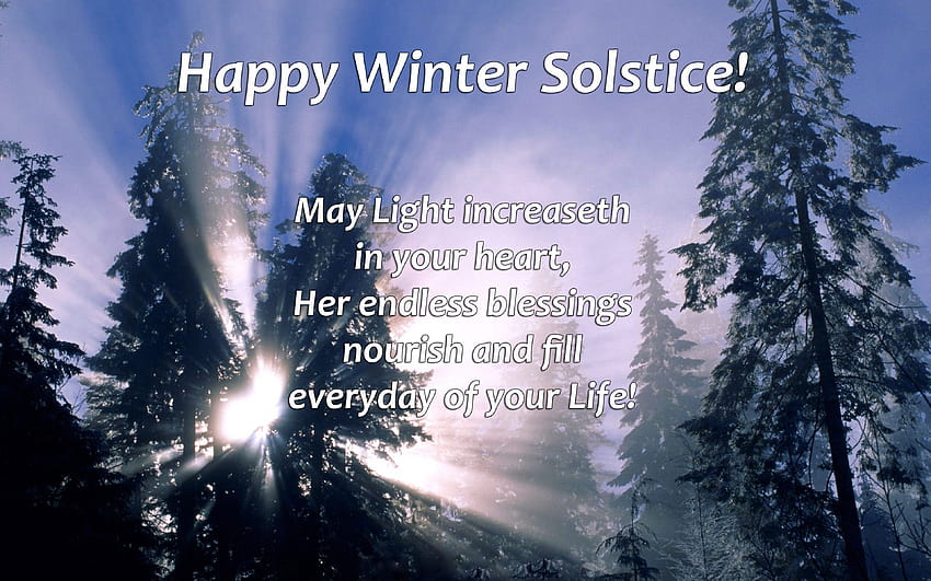 Daisy Petals on Corners of Winter, winter solstice wishes HD wallpaper