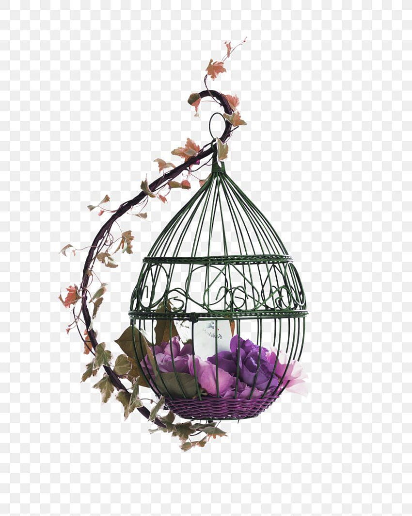 紫色の新鮮な鳥かごの装飾パターン, PNG, 3280x4100px, オウム, 人造人間, 鳥, 鳥の餌箱, 鳥かご HD電話の壁紙