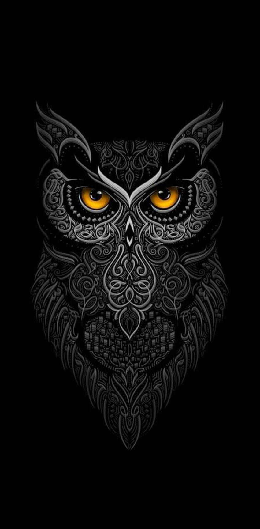 Owl black owl colorful HD phone wallpaper  Peakpx