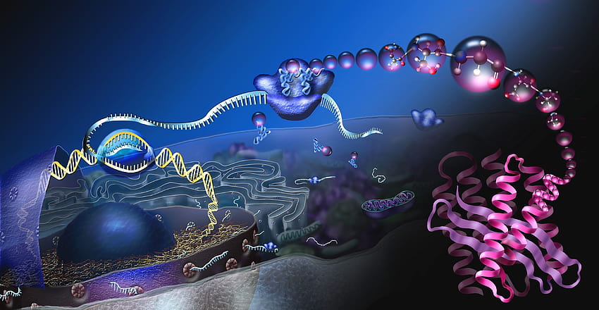Molecular Biology, bio research HD wallpaper