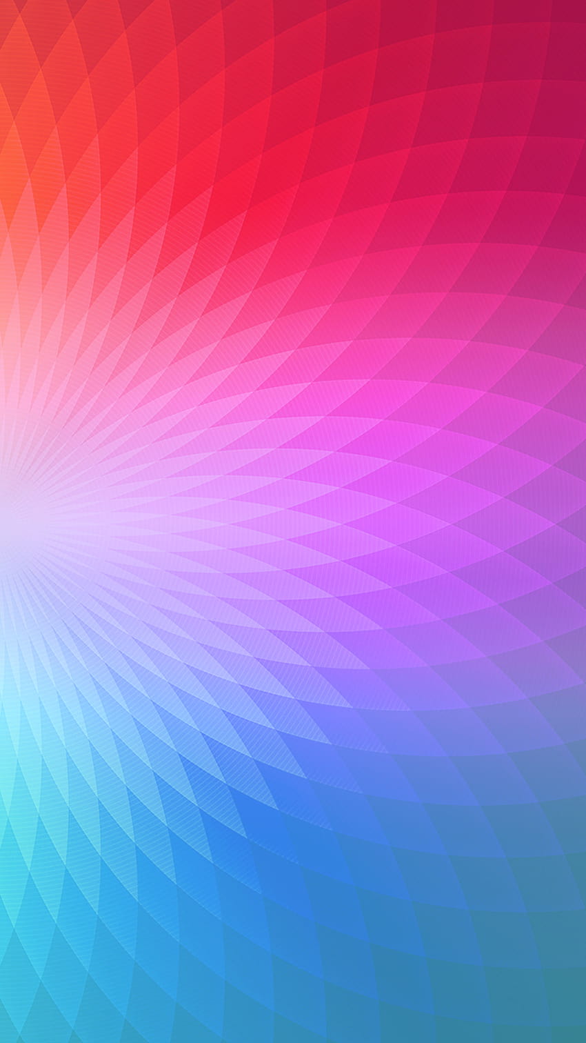 HD variety colours wallpapers  Peakpx