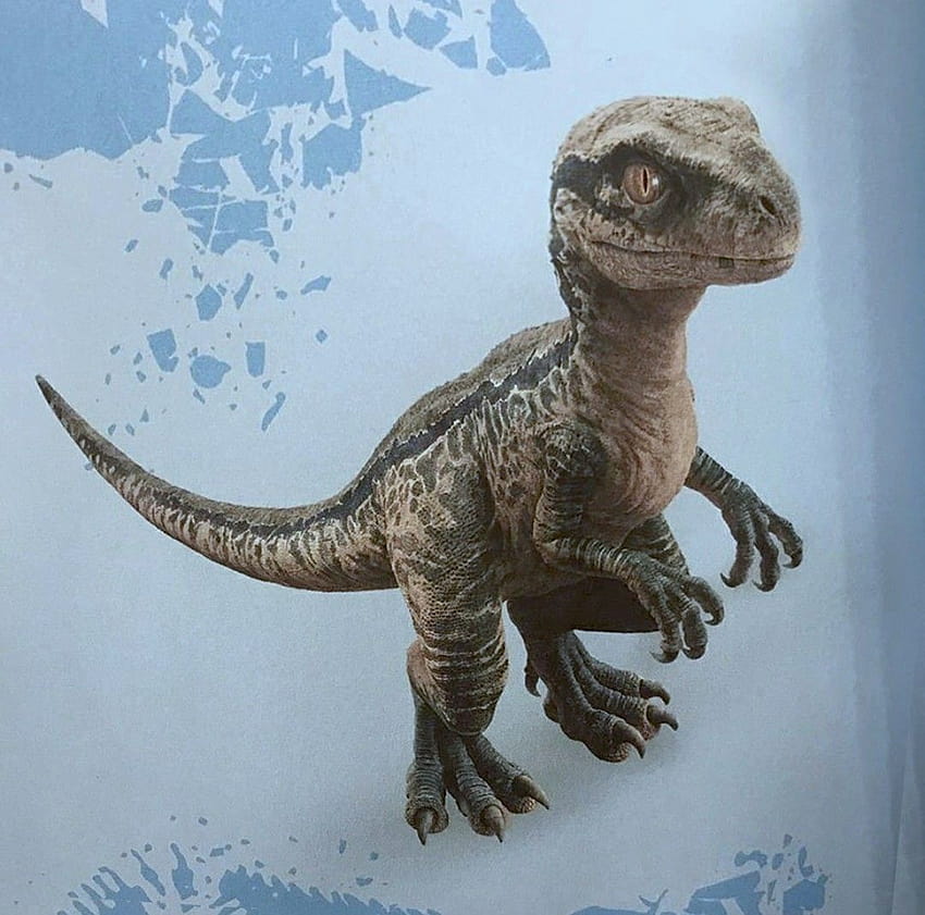 Jurassic World Fallen Kingdom Bayi biru baru, bayi indoraptor Wallpaper HD
