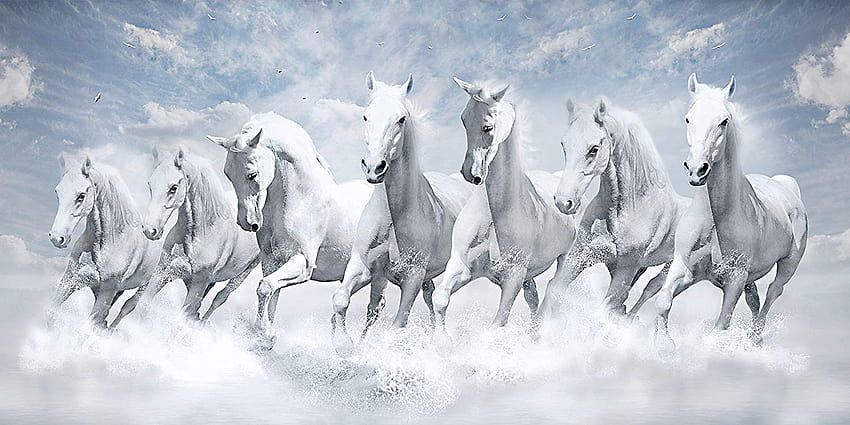 Седем коня, публикувано от Мишел Андерсън, 7 бели коня HD тапет