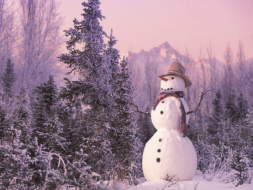 5 Real Snowman, vrais bonhommes de neige d'hiver Fond d'écran HD