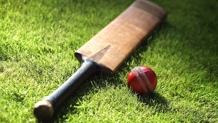 Cricket Backgrounds of Your Choice [1930x1287] for your , Mobile & Tablet HD  wallpaper | Pxfuel