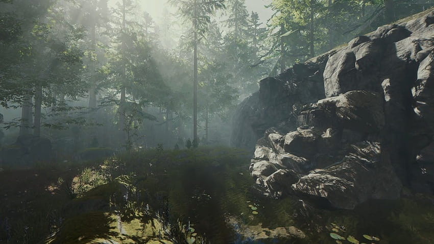 das Waldspiel HD-Hintergrundbild
