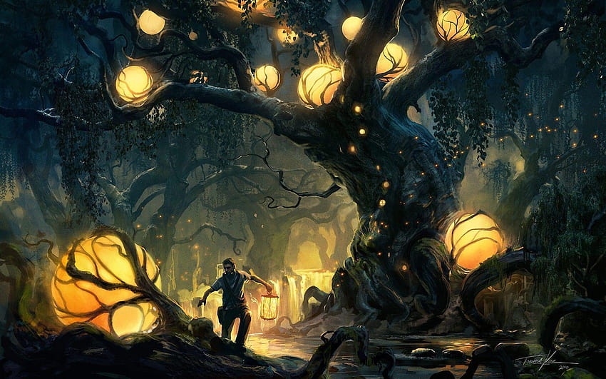 árboles luces bosque fantasía arte, ilustraciones fondo de pantalla