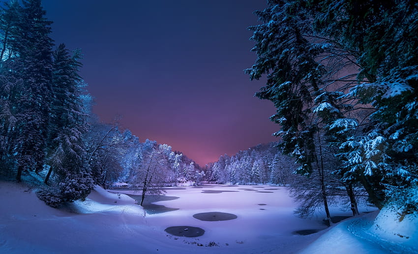 Malam, Pemandangan, Salju, Es, Musim Dingin, Pohon, Alam, pohon tertutup salju musim dingin Wallpaper HD