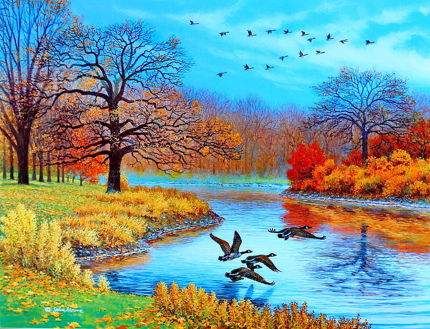Amazing Beautiful Nature HD wallpaper
